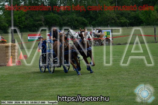 Mintakép 20260531-2596