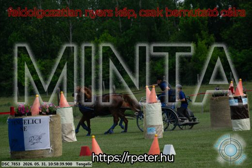 Mintakép 20260531-2599