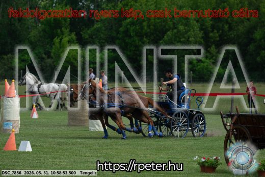 Mintakép 20260531-2602