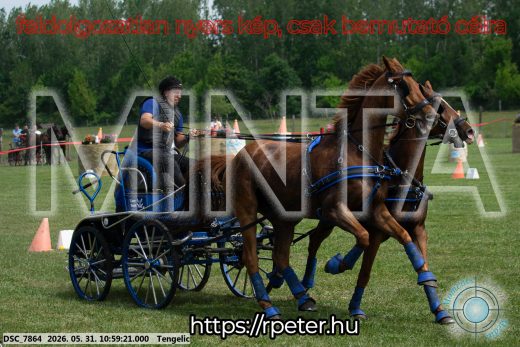 Mintakép 20260531-2610