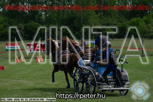 Mintakép 20260531-2612