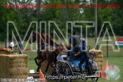 Mintakép 20260531-2613