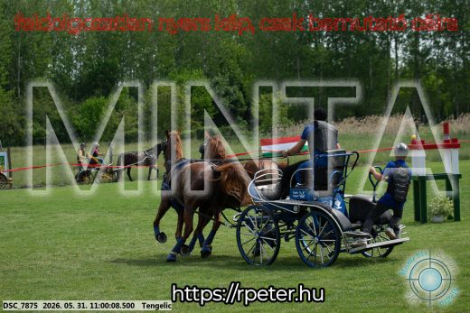Mintakép 20260531-2618