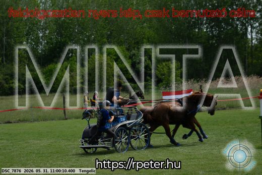 Mintakép 20260531-2619