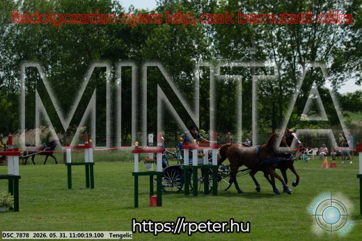 Mintakép 20260531-2620