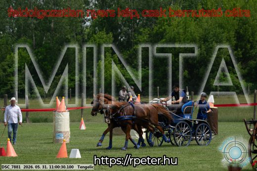 Mintakép 20260531-2621