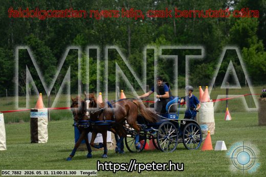 Mintakép 20260531-2622