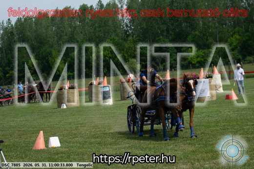 Mintakép 20260531-2625