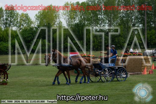 Mintakép 20260531-2628
