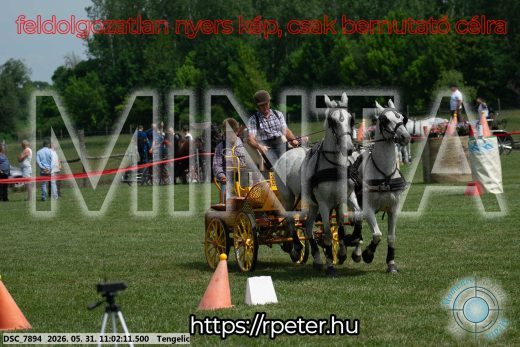 20260531-110211-DSC_7894.jpg