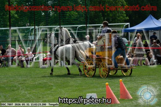 Mintakép 20260531-2633