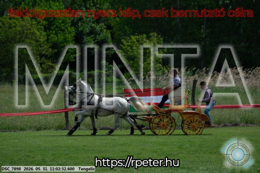 Mintakép 20260531-2634