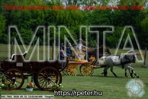 Mintakép 20260531-2635