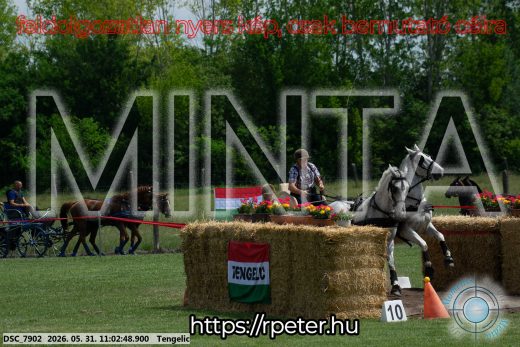 Mintakép 20260531-2636