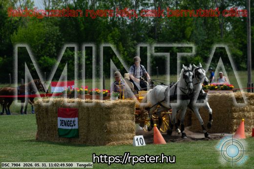 Mintakép 20260531-2638