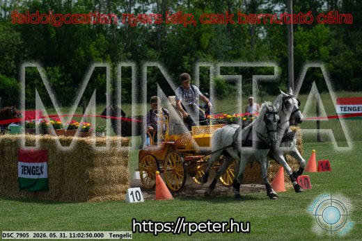 Mintakép 20260531-2639
