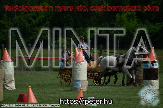 Mintakép 20260531-2642