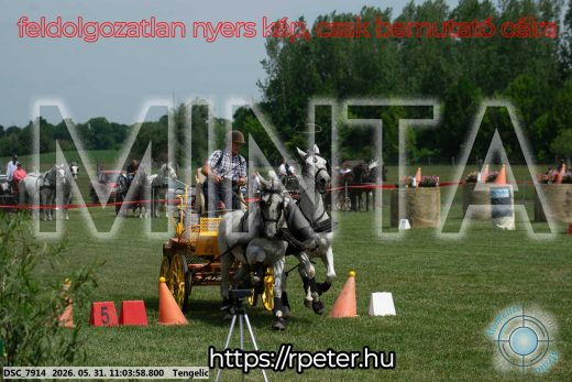 Mintakép 20260531-2645