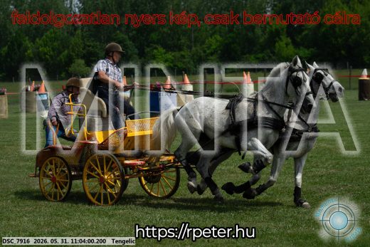 Mintakép 20260531-2647