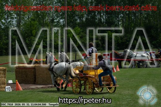 Mintakép 20260531-2649