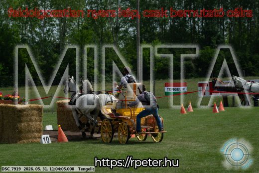 Mintakép 20260531-2650