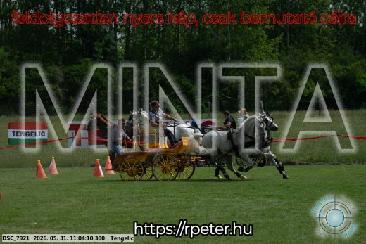 Mintakép 20260531-2652