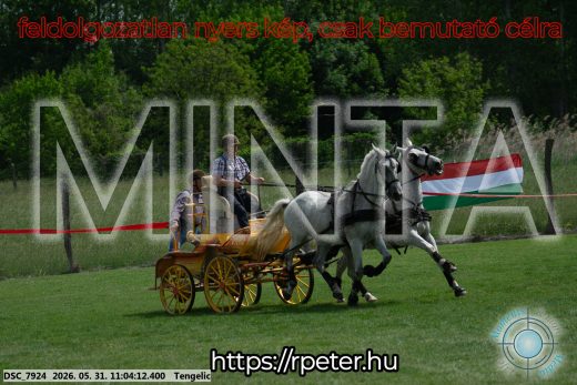 Mintakép 20260531-2655