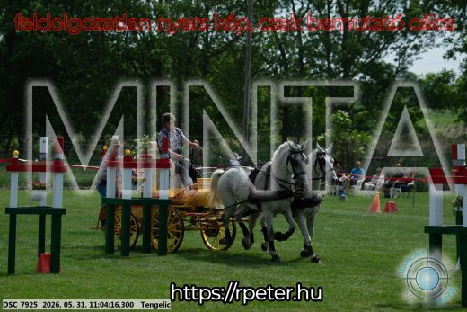 Mintakép 20260531-2656