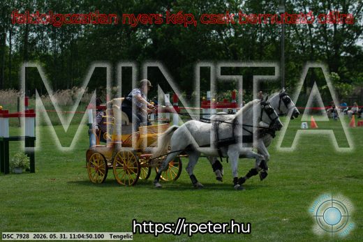 Mintakép 20260531-2658