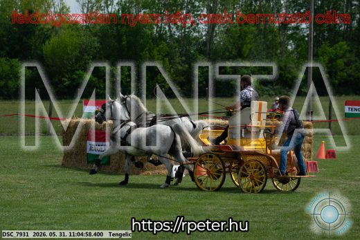 Mintakép 20260531-2660