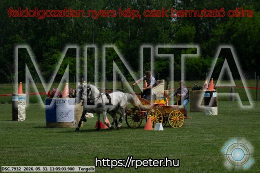Mintakép 20260531-2661