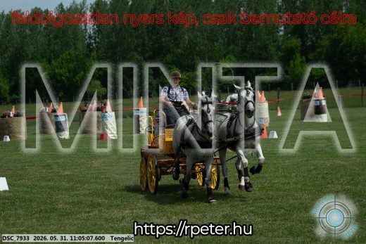 Mintakép 20260531-2662