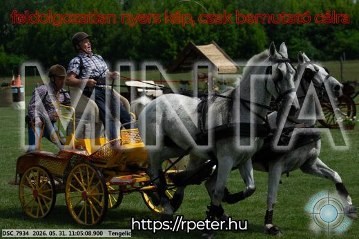 Mintakép 20260531-2663