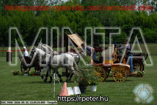 Mintakép 20260531-2665