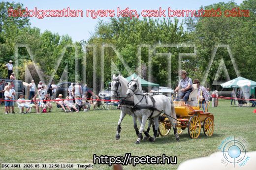 Mintakép 20260531-2666