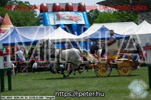 Mintakép 20260531-2667