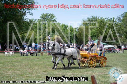 Mintakép 20260531-2668