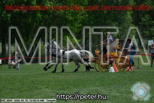 Mintakép 20260531-2672