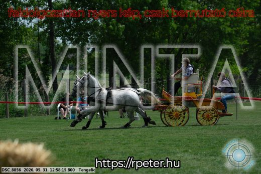 Mintakép 20260531-2673