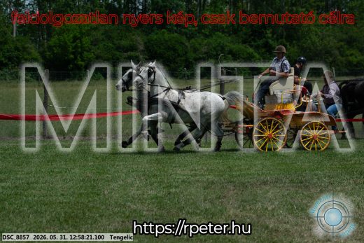 Mintakép 20260531-2674