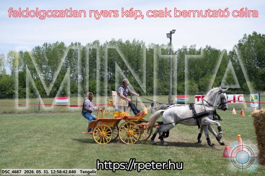 Mintakép 20260531-2678