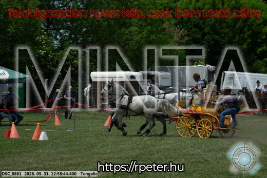 Mintakép 20260531-2680