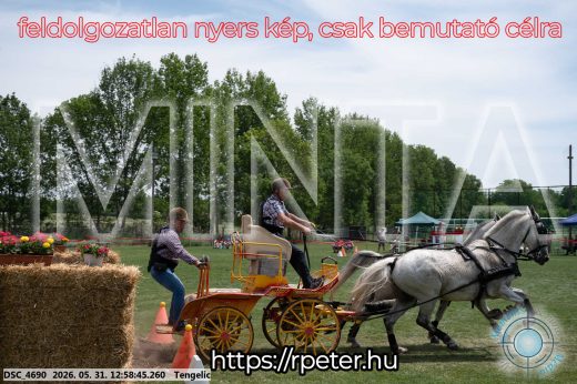 Mintakép 20260531-2681