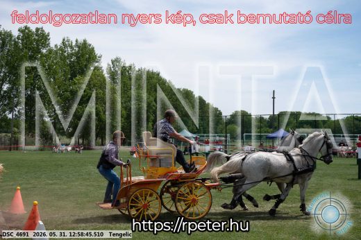 Mintakép 20260531-2682