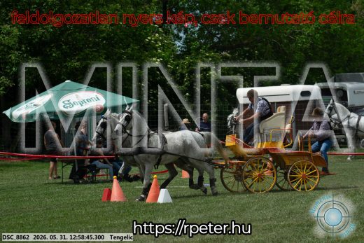 Mintakép 20260531-2684