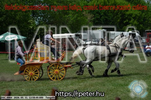 Mintakép 20260531-2690