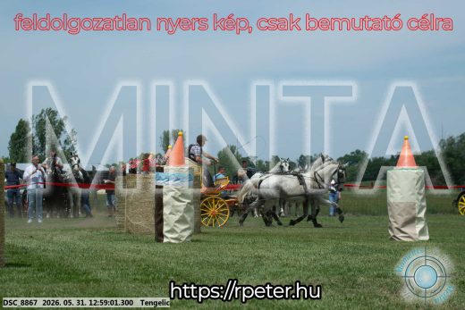 Mintakép 20260531-2693