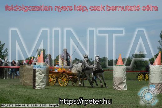 Mintakép 20260531-2698
