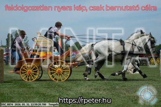 Mintakép 20260531-2699