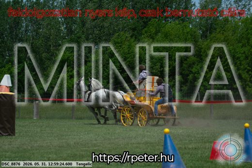 Mintakép 20260531-2701